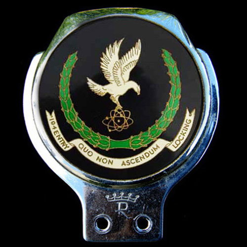 RAF Locking Car Badge