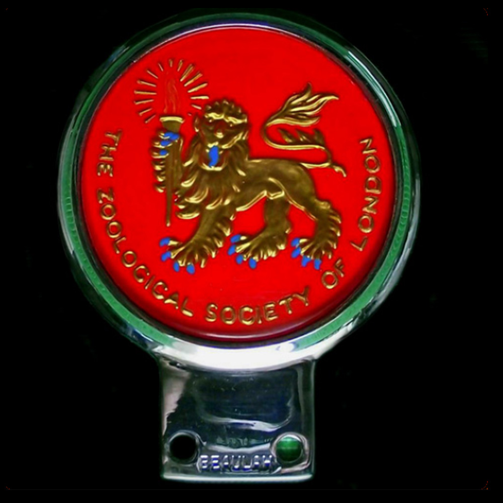 Zoological Society of London  car badge