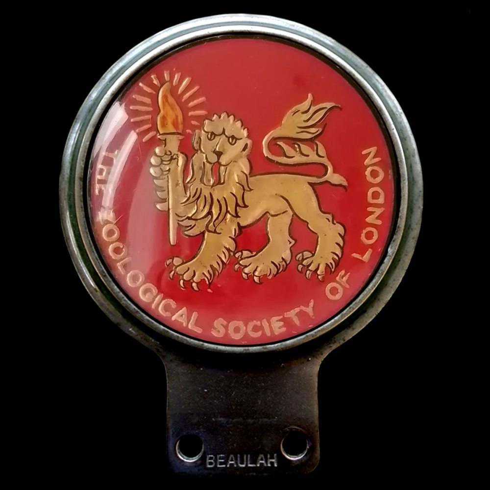 Zoological Society of London  car badge