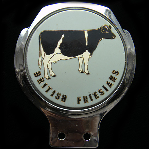 British Friesians Car Badge