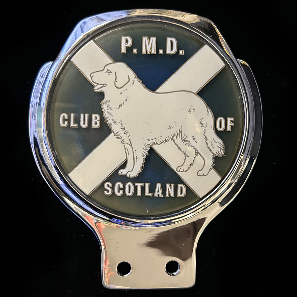 Boxed Pyrenean Mountain Dog Club car badge