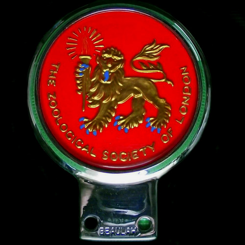 Zoological Society of London car badge