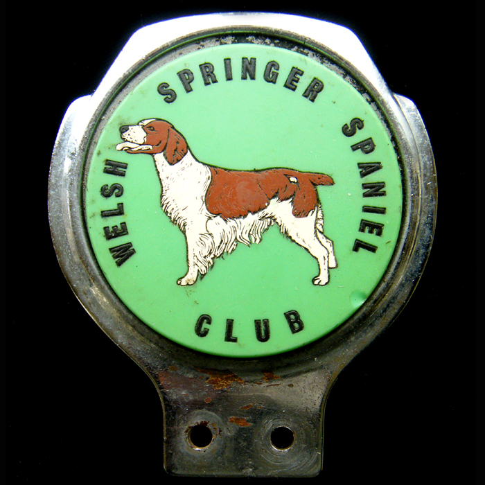 Welsh Springer Spaniel Club Car Badge