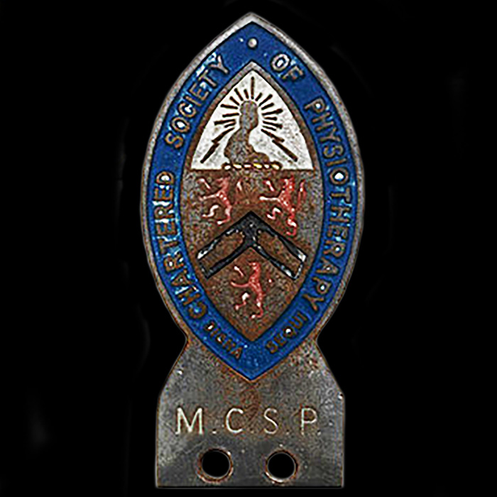 Charted Society of Physiotherary car badge