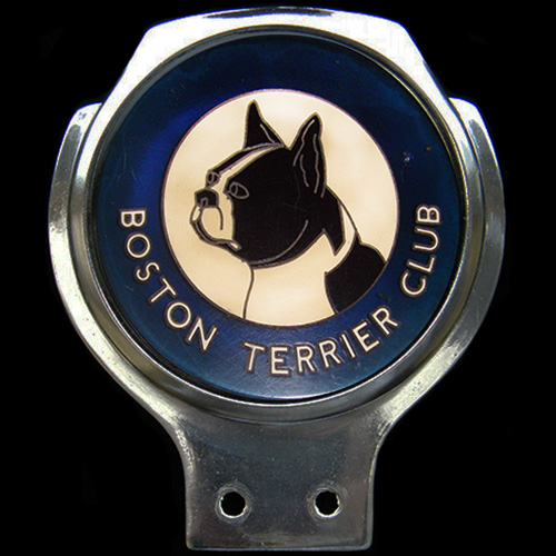 Boston Terrier Club Car Badge