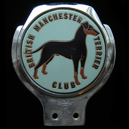 British Manchester Terrier Club Car Badge
