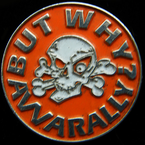 But Why Awarally pin badge