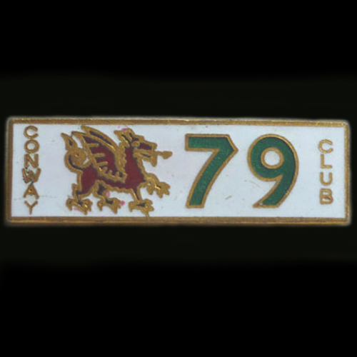 Dragon Rally pin badge