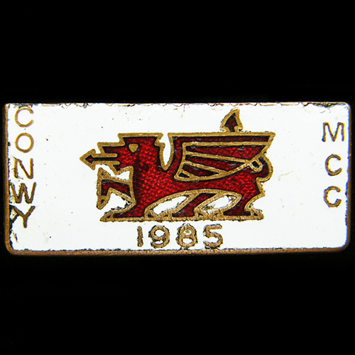 Dragon Rally pin badge