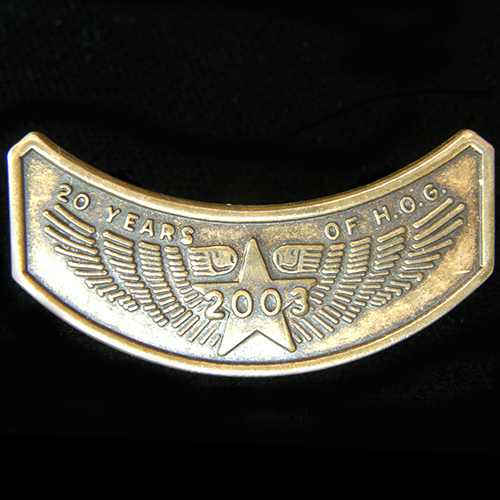 Harley Owners Group pin badge