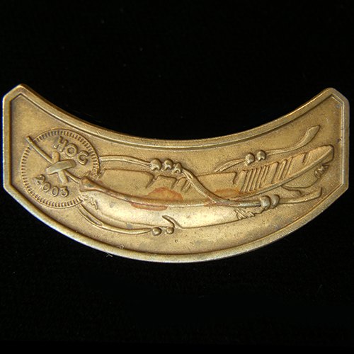 Harley Owners Group pin badge