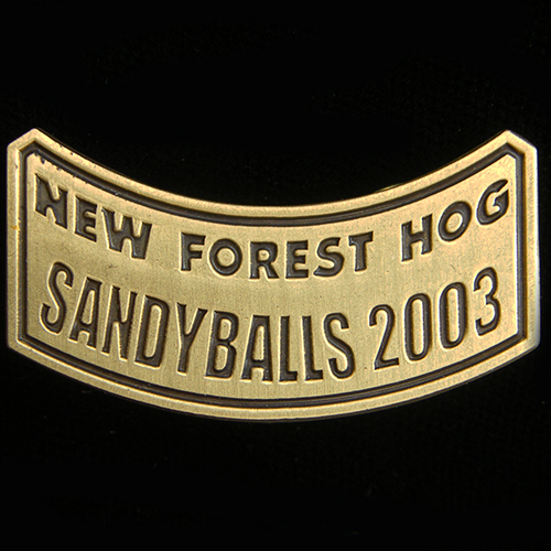 Harley Owners Group pin badge