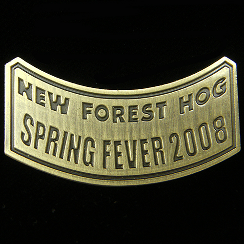 Harley Owners Group pin badge