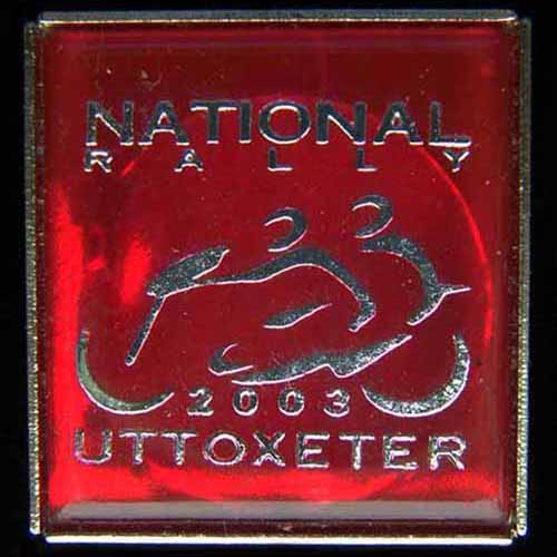 National Rally pin badge