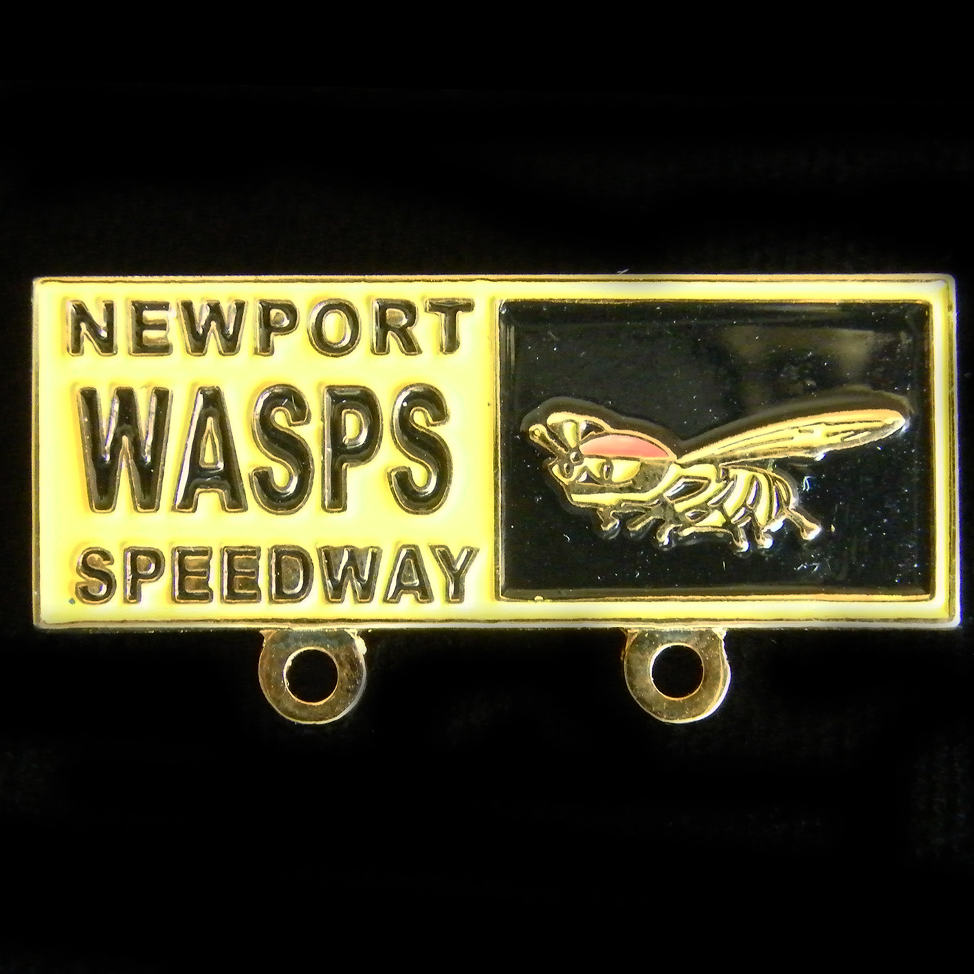 Newport Speedway lapel badge