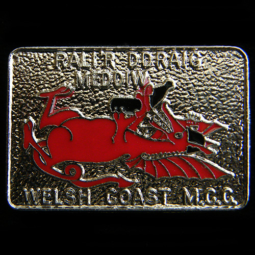 Rali'r Ddiw Meddiw pin badge