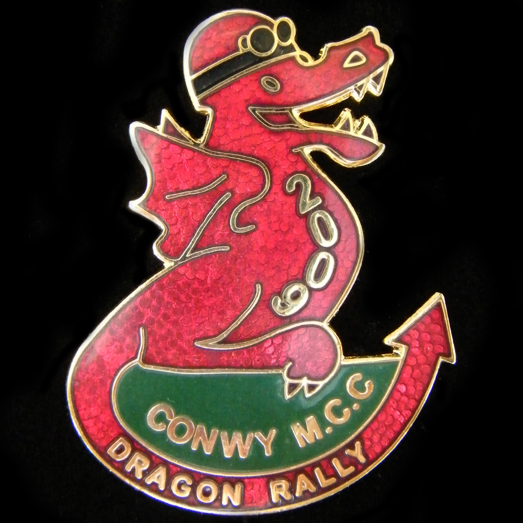 Dragon Rally pin badge