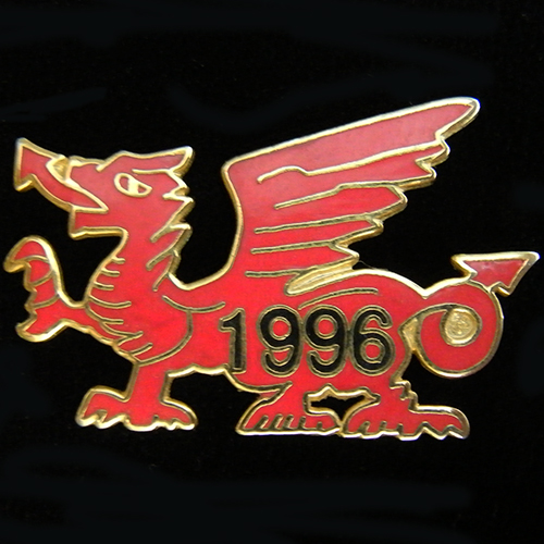 Dragon Rally pin badge