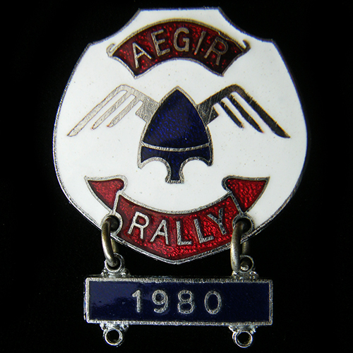 Aegir Rally pin badge