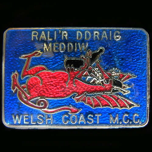 Rali'r Ddiw Meddiw pin badge