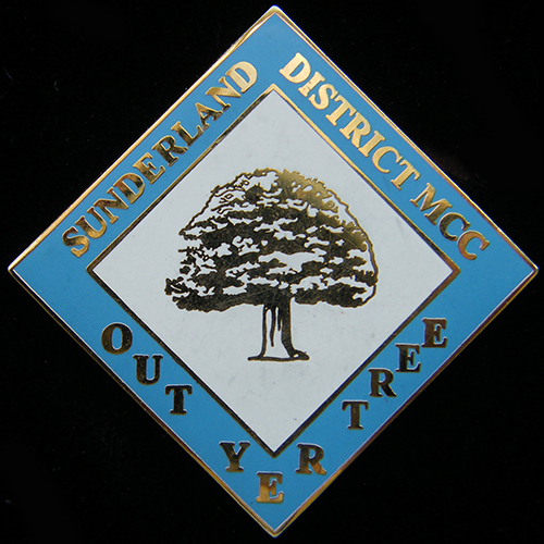 Out Yer Tree Rally pin badge
