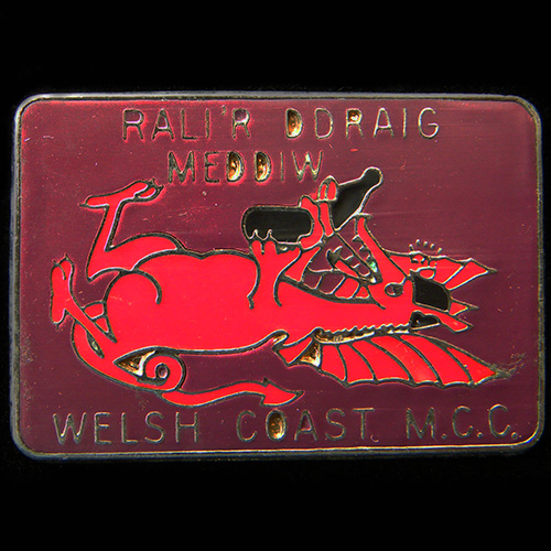 Rali'r Ddiw Meddiw pin badge