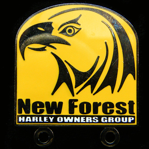 Harley Owners Group pin badge
