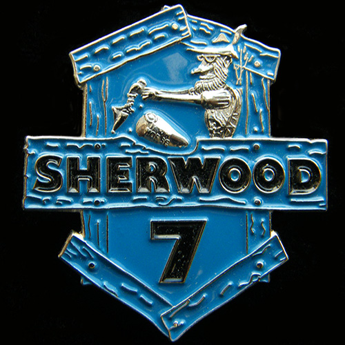 Harley Owners Group pin badge