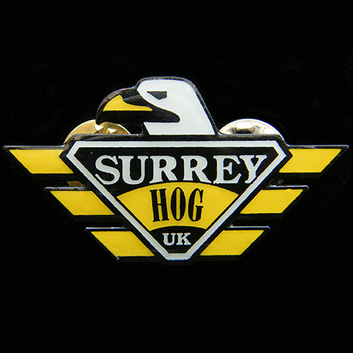 Harley Owners Group pin badge