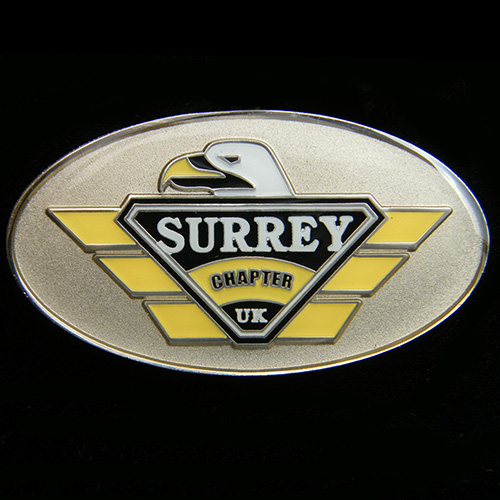 Harley Owners Group pin badge