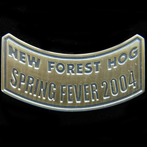 Harley Owners Group pin badge
