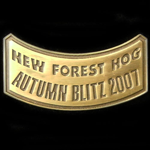 Harley Owners Group pin badge