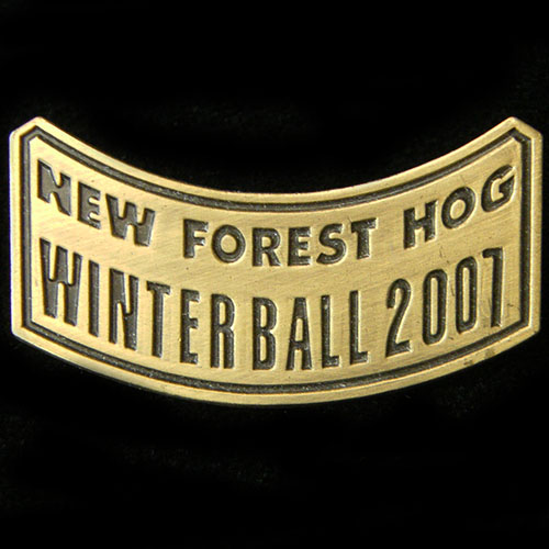 Harley Owners Group pin badge