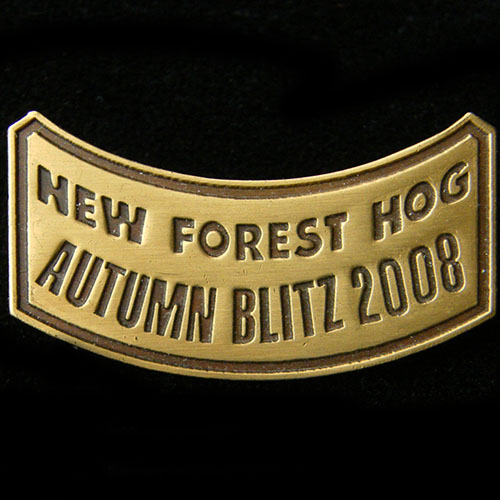 Harley Owners Group pin badge
