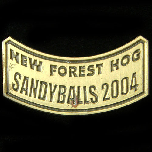 Harley Owners Group pin badge