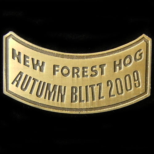 Harley Owners Group pin badge