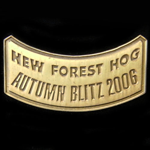 Harley Owners Group pin badge