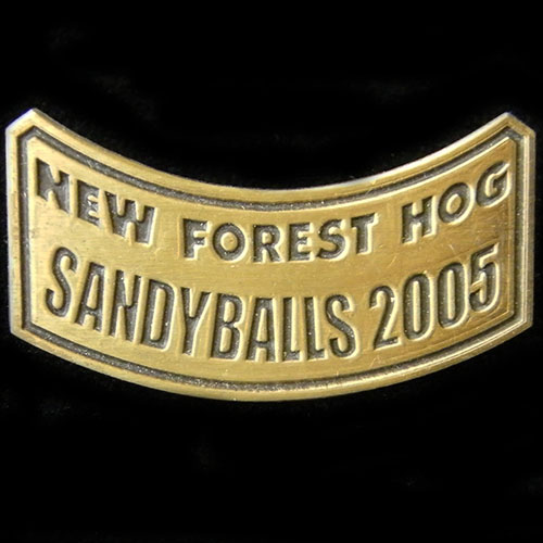 Harley Owners Group pin badge