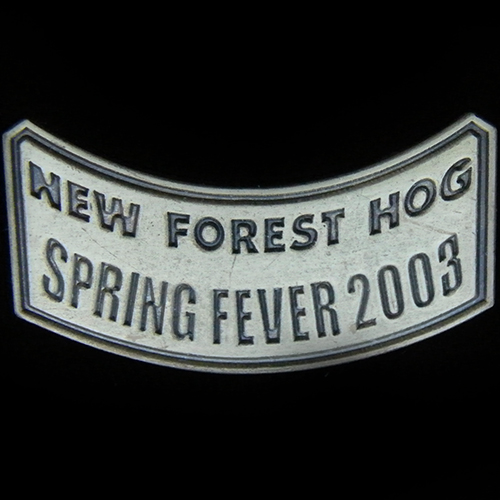 Harley Owners Group pin badge
