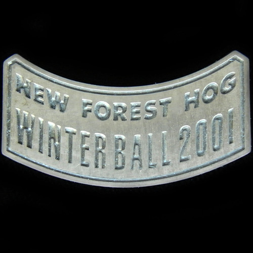 Harley Owners Group pin badge