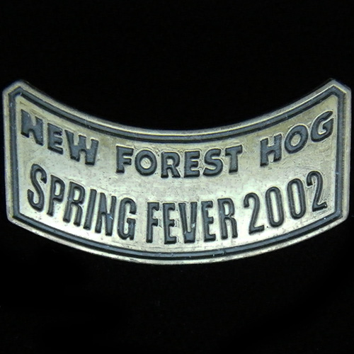 Harley Owners Group pin badge