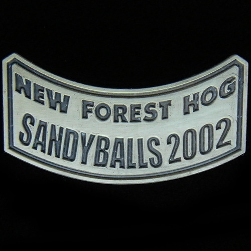 Harley Owners Group pin badge