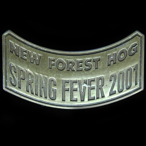Harley Owners Group pin badge