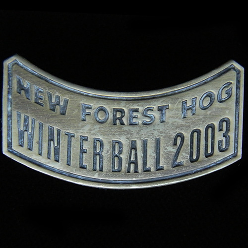 Harley Owners Group pin badge
