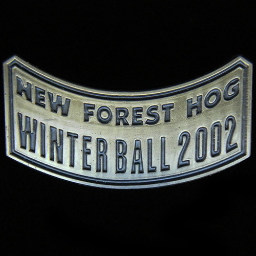 Harley Owners Group pin badge