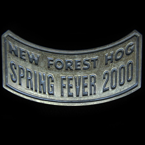 Harley Owners Group pin badge