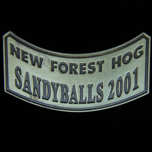 Harley Owners Group pin badge