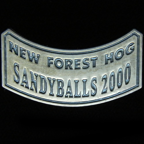 Harley Owners Group pin badge
