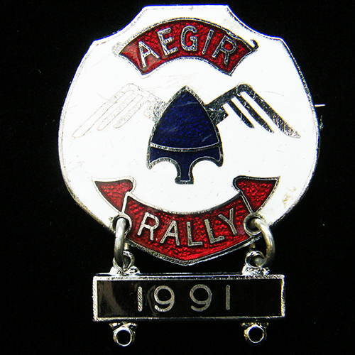 Aegir Rally pin badge