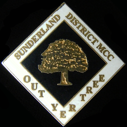 Out Yer Tree Rally pin badge